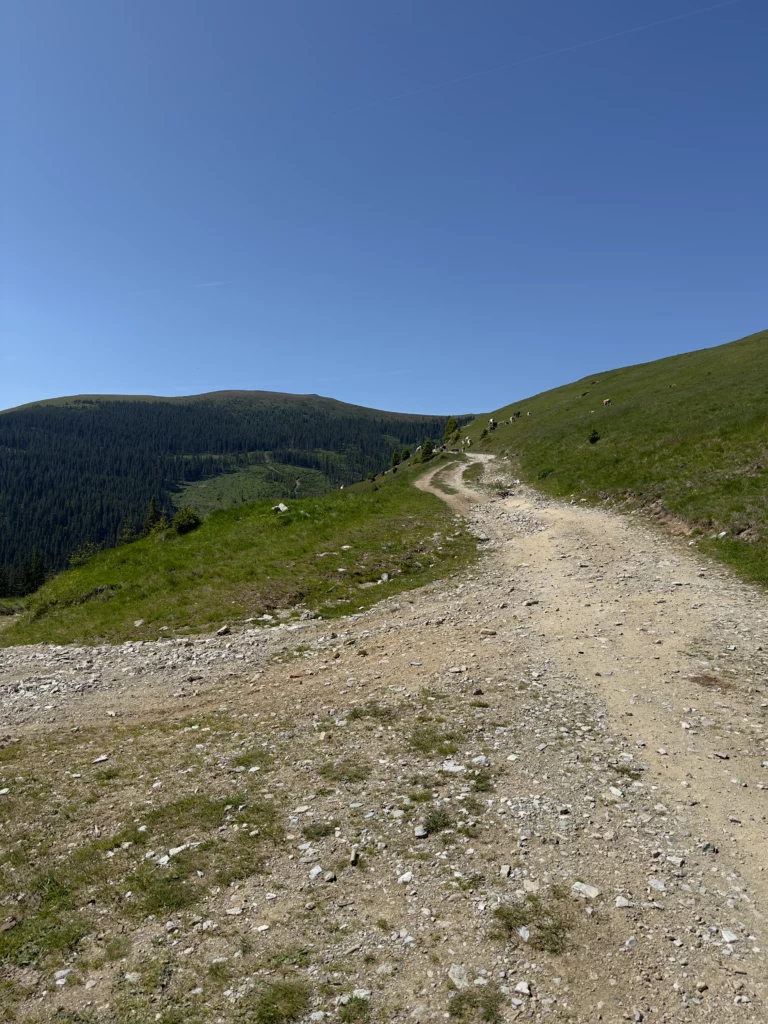 Offroad moto Paltinis - Strategica 11 IMG 4917